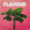 froplug - Flavour Pack I 90 Loops Roylaty-free (Dancehall, Lo-Fi, Reggae, R&B)