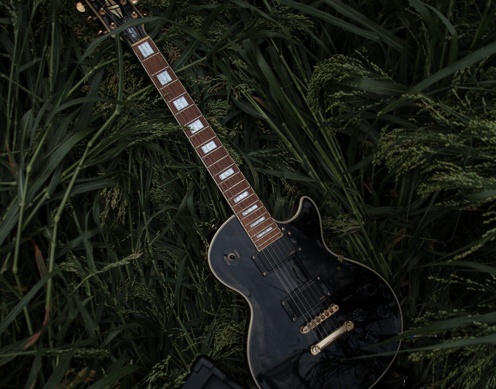 Produire avec Free Blues VST : FS Blues Steel Guitar