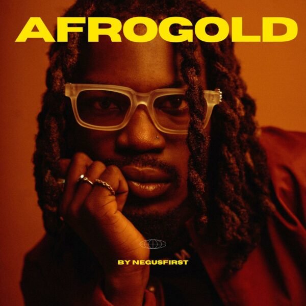 Afrogold - 240+ Loops & Samples Afrobeats