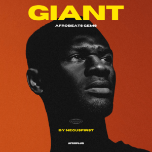 Giant - 500+ Essential Afrobeats Loops