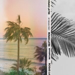 Rosas Afro Latin Guitars Pack Loops Royalty Free