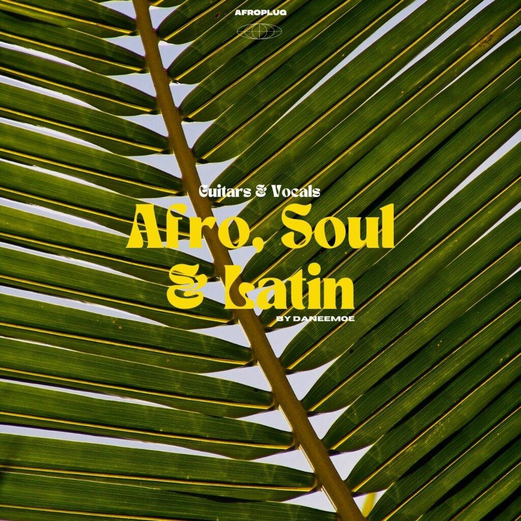 Ultimate Vocal Remover from song : Must-have free tool 2024 - Afroplug