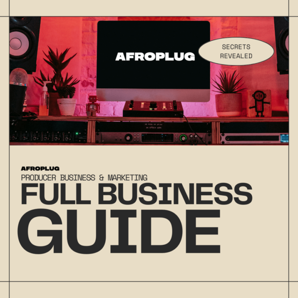 Producer Success : Full Business Guide