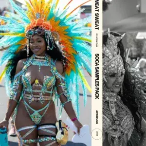 Soca Samples Pack - 75+ Loops Royalty-free - Machel Montano & Destra Garcia Inspired