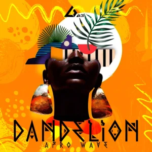 Dandelion: Afro Wave
