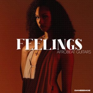 FEELINGS Afrosoul Guitar Melodies