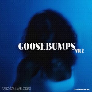 Goosebumps Afrosoul Melodies vol. 2