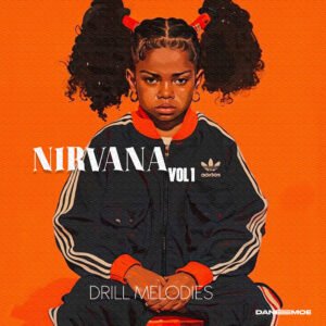 NIRVANA Russ Millions Drill Samples