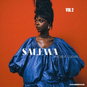 SALEWA Afrobeat Guitars vol. 2