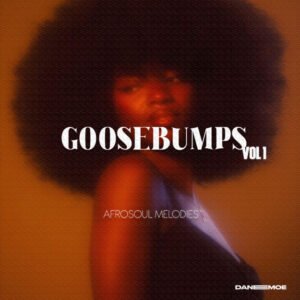 Goosebumps Afrosoul Melodies vol. 1